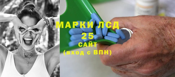 индика Заволжье