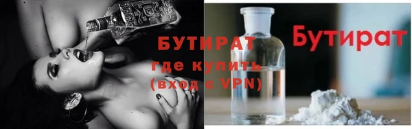 индика Заволжье