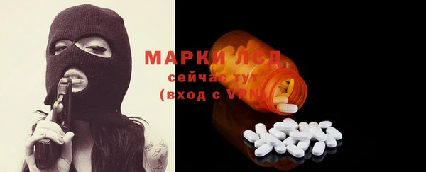 индика Заволжье