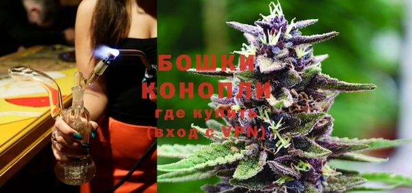 индика Заволжье