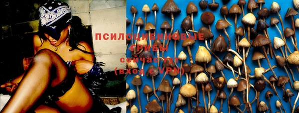 ПСИЛОЦИБИНОВЫЕ ГРИБЫ Нягань