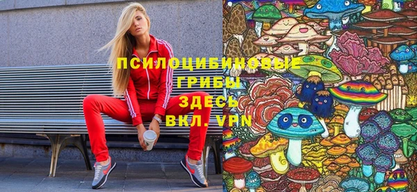 молекула духа Нязепетровск
