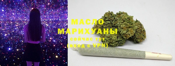 индика Заволжье