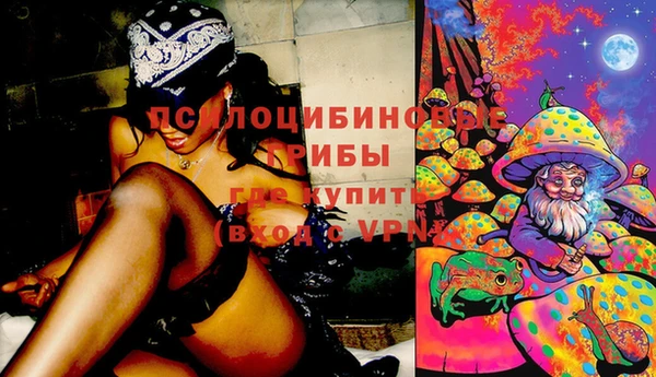 ПСИЛОЦИБИНОВЫЕ ГРИБЫ Нягань