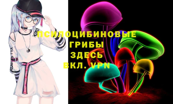 индика Заволжье