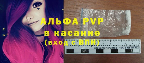 индика Заволжье