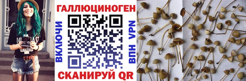 цены   hydra ССЫЛКА  Галлюциногенные грибы ЛСД  Пыть-Ях 