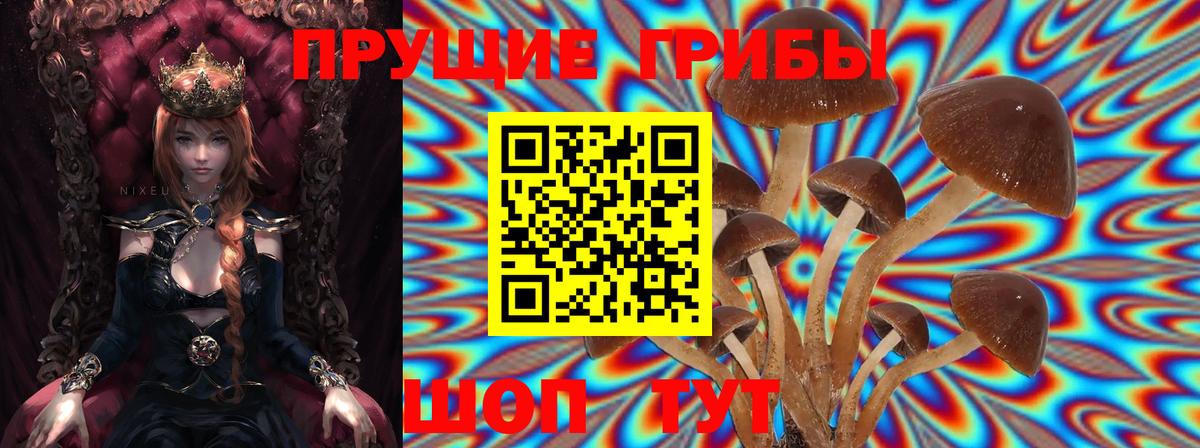 Псилоцибиновые грибы прущие грибы Пыть-Ях