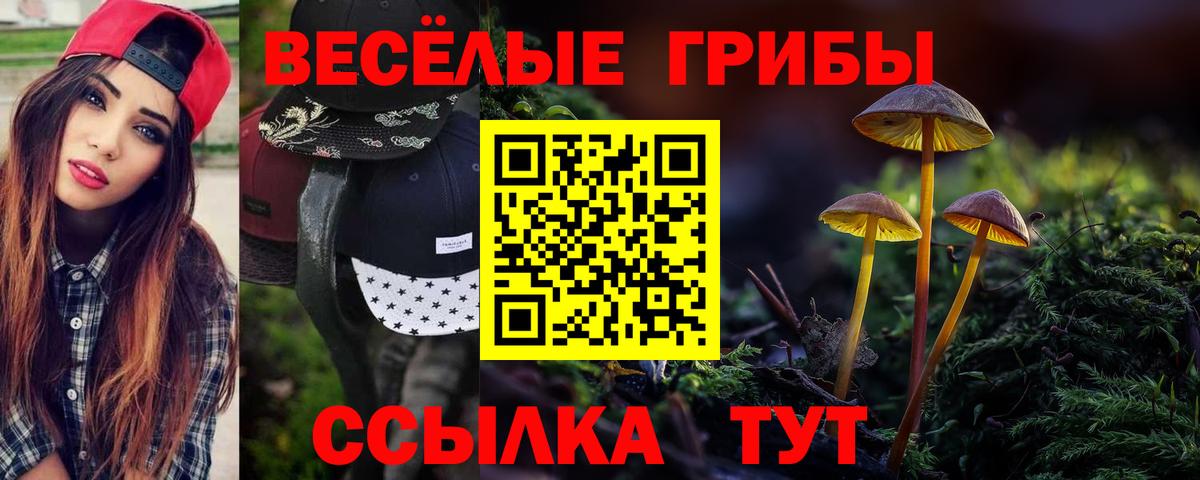 Псилоцибиновые грибы GOLDEN TEACHER  Вход с VPN  купить наркотик  Псилоцибиновые грибы мухоморы  Пыть-Ях 