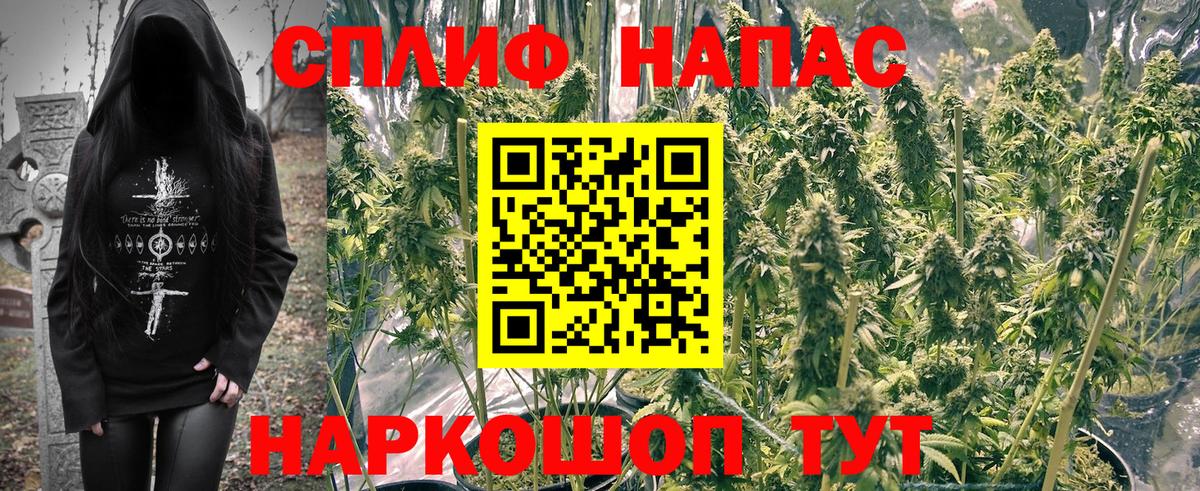 Бошки Шишки White Widow  Пыть-Ях  МАРИХУАНА VHQ 